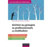 Animer des groupes professionnels en institution Aspects théoriques et méthodologiques - Dana Castro - Dunod - broché - Guide