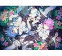 Animes Otherworldly Life from Scratch Posters ，1000 Pièces ，Art Puzzle ，Jeu De Décompression Familiale ，Adult Alzheimer Gifts - Zp48Aw