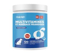 Animigo Vitamine pour Chien 18-en-1, Vitamine A B C D E, Fer, Zinc, Calcium, 120 Friandises pour Chien, Huile de Saumon, Graines de Lin - Friandises pour Toutes Tailles & Races, Fabriqué dans l'UE