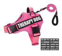 Animire Ensemble harnais et laisse, gilet réfléchissant pour chien d'assistance avec 10 écussons, 3 anneaux anti-étranglement pour placer la laisse, harnais de dressage pour chiens de petite, moyenne
