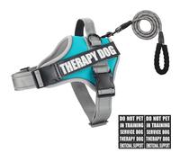 Animire Ensemble Harnais et Laisse, Gilet réfléchissant pour Chien d'assistance avec 10 écussons, 3 Anneaux Anti-étranglement pour Placer la Laisse, Harnais de Dressage pour Chiens de Petite, Moyenne