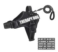 Animire Ensemble harnais et laisse, gilet réfléchissant pour chien d'assistance avec 10 écussons, 3 anneaux anti-étranglement pour placer la laisse, harnais de dressage pour chiens de petite, moyenne