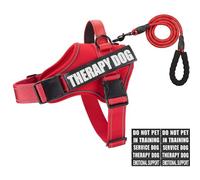 Animire Ensemble harnais et laisse pour chien d'assistance, gilet réfléchissant pour chien d'assistance, harnais de dressage avec 10 écussons, 3 anneaux, soutien émotionnel pour chiens de petite