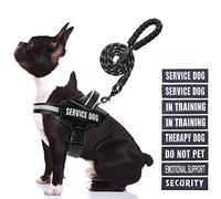 Animire in Training Ensemble Harnais et Laisse pour Chien avec 10 Patchs pour Chiens, Laisse réfléchissante pour Chien avec poignée rembourrée Douce pour Chiens de Petite, Moyenne, Grande et