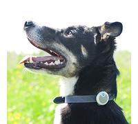 Animo - Tracker d'Activité et de Comportement Sure Petcare