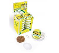 Anis de Flavigny Citron - Boîte 12 pièces