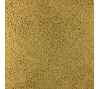 Anis Vert Poudre Bio en Vrac 125g Vrac Bio