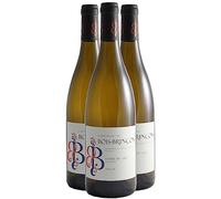 Anjou Terre de Grès - Blanc 2021 - Château de Bois-Brinçon - Vin Blanc du Val de Loire (3x75 IO