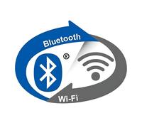 Ankermann-PC MSI Thin 15 B13UC-3073 Gaming | 16GB RAM | 512Go NVMe SSD | Intel Core i5-13420H | 15.6 Pouces Full HD LED Display | Nvidia GeForce RTX 3050 4Go | Windows 11 Pro | WLAN & Bluetooth | MS O