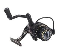 ANKROYU Metal Right Left Interchangeable Spinning Fishing Reel Saltwater Fish Bait Casting Wheel Heavy Duty ABS Plastic Metal Construction 9BB Bearings Smooth Fast Spinning for Sal (3000)