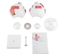 ANKROYU Modèle d'anatomie de l'œil Humain grossissement 6X modèle d'enseignement du Globe oculaire Amovible avec Structures détaillées pour étudiants médecins matériau PVC 16,5x15,