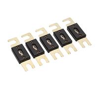 ANL Fusible à lame 100 A Plaqué or Fusible audio de voiture à courant élevé pour systèmes automobiles et marins Ensemble de 5 pièces en alliage de zinc noir