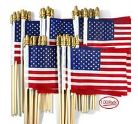 Anley Lot de 100 - USA 10,2 x 15,2 cm bâton en bois - Décoration du 4 juillet, fête des vétérans, pierre tombale, etc.