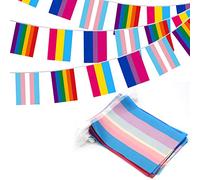 Anley Lot de 32 drapeaux arc-en-ciel assortis - 4 bannières à fanions mixtes avec LGBT, pansexualité, bisexualité et transgenre - 32 drapeaux 26 pieds