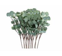 Anlising 15 Pièces Plantes Artificielles - Branches et Feuilles d'Eucalyptus Argenté pour Décoration Mariage, Jardin, Maison, Bureau (Vert)