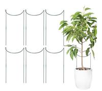 Anloximt Lot de 6 tuteurs pour d'intérieur - En métal inoxydable - Accessoire de jardin - Support de tige pour grimpantes