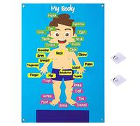 Anloximt Tableau en Feutre pour | Structure Pièces Corps | Cadeaux éducatifs Jouets préscolaires d'apprentissage pour la Fille garçon, kit Jeu d'anatomie Humaine