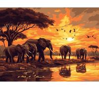 Anmiong Peinture Numero Adulte éléphant,Peinture Numero Enfant coucher de soleil,Peinture au Numéro,Peinture Numero Adultes Loisirs Créatifs,Acryliques Paintings Peintures,Decoration Chambre 30x40cm