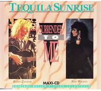 Ann Wilson - Surrender To Me [CD-Single, Capitol]