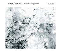 Visions Fugitives