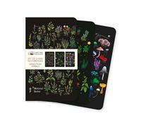 Anna Stead Herbals Set of 3 Mini Notebooks