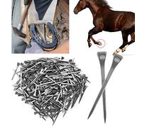 Annadue Clou de Fer à Cheval E6, Cheville de Sabot en Acier, Clou Ferme et sécurisé pour Sabot de Cheval, Accessoire d'outil de Maréchal-ferrant, 250 Pièces