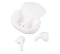 Annadue Écouteurs de Traduction sans Fil, 74 Langues 70 Accents Langue Traductor Traduct Bluetooth 5.3 Traductor Earphone avec Application pour Les Affaires/L'apprentissage/Les (White)