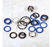 Annadue Kit de Réparation de Pompe de Pulvérisation sans Air 244194 pour Ultra 390 795 1095 3900 5900 7900, Accessoires de Remplacement de Pulvérisateur de Peinture en Acier Inoxydable et en