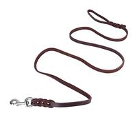 Annadue Laisse pour Chien de Compagnie, Ceinture en Cuir de Vache pour l'entraînement à la Marche et à la Course, Corde de sécurité pour Chiens de Taille Moyenne et de Grande Taille (La Longueur du