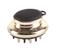 Annadue Peigne Applicateur de Cuir Chevelu, Applicateur Ergonomique de Cuir Chevelu avec Conception de Fenêtre à échelle de Perspective, Brosse de Massage du pour le Traitement de l'huile (GOLD)