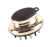 Annadue Peigne Applicateur de Cuir Chevelu, Applicateur Ergonomique de Cuir Chevelu avec Conception de Fenêtre à échelle de Perspective, Brosse de Massage du pour le Traitement de l'huile (GOLD)
