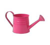 Annaffiatoio per Piante Da Interno - Ferro 9.65 Pollici Con Beccuccio Lungo | Annaffiatoio Da Giardino, 1L Strumento per CASA Serra Cortile Viale Paesaggio Fiori Bonsai