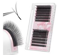 ANNAFRIS Extension de Cils YY 0.07 D 9-14mm Bouquet Préfabriqué Faux Cils 4D Individuel Volume Russe Naturel Eyelash Extension(FoxYY,0.07D,9-14mm)