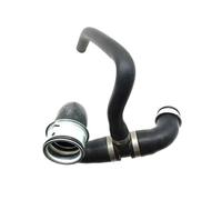 ANNBCDL 9065011482 VOITURE COMMENTAIRE DU RADIATEUR CORDIATEUR SPRINTER COMPATIBLE 3500 2014-2017 Pipe de réservoir d'eau