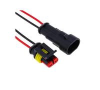 ANNBCDL Connecteur de fil électrique étanche scellé à 2 broches, ensemble de connecteurs automatiques avec câble(1Set)
