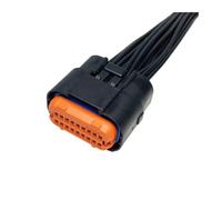 ANNBCDL Connecteur étanche de faisceau de câbles ECU DJ7181A-1, prise de câble de contrôleur d'ordinateur de voiture d'une longueur de 30cm(Color:18p female)