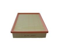 ANNBCDL Filtre à air moteur compatible TANK 300 2.0T 400 500 Hi4-T Great Wall POER KingKong 2023 Haval H5 1109103XKM01A