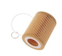 ANNBCDL Lot de 10 filtres à huile compatibles F20-114i/116i/118i F30/F31-316i/320i 3 Touring (F31) 316 I OEM : 11427635557