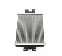 ANNBCDL OE; 17117628057 17219452275 Réservoir d'eau auxiliaire de radiateur ou support cadre compatible F30 F31 320LI 325LI F32 F36 425I 430I(Silver)