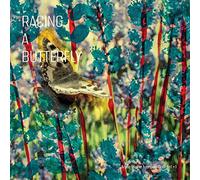 Racing a Butterfly