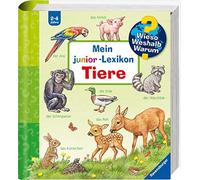 Anne Möller Wieso? Weshalb? Warum? Mein junior-Lexik (Encuadernación de anillas)