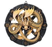 Anne Stokes décoration Murale Imbolic Dragon 32 cm
