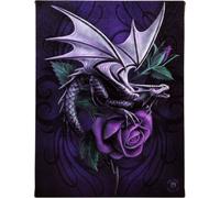Anne Stokes Impression sur toile Dragon Beauty SD318 (S) (Violet)