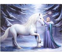 Anne Stokes Impression sur toile Pure Magic, 19 x 25 cm, avec motif de licorne SD893 (taille unique) (Blanc)