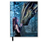 Anne Stokes: Once Upon A Time (Blank Sketch Book)