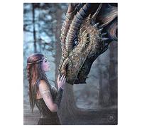 Anne Stokes Once Upon a Time Plaque murale