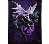 ANNE STOKES WP_54714 Plaque en toile | Dragon Beauty H25 cm x l 19 cm x P 1,5 cm | Lot de 1, Noir