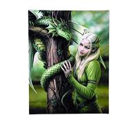 ANNE STOKES WP_55014 Plaque en toile | Kindred Spirits H25 cm x l19 cm x P 1,5 cm | Lot de 1, vert et blanc
