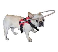 Anneau anti-collision pour chien aveugle, gilet de protection avec aide au leadership | Helo de chien aveugle pour soutenir les animaux malvoyants, naviguer en toute sécurité et construire la