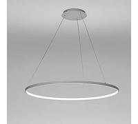 Anneau Cercle LED Suspension Moderne Métal Acrylique Lustre Hauteur Réglable Lampe Suspendue Pour Salon Chambre Table à Manger,White+3 Color Light-100cm 63W